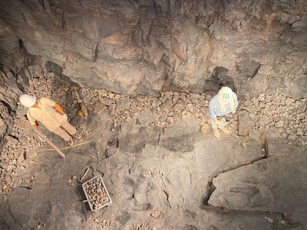 日本・福井県「念願の恐竜県🦖へ出張」の写真：福井県立恐竜博物館

化石発掘風景

私...