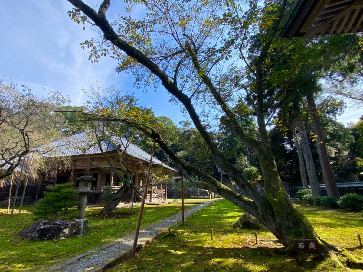 瀧谷寺（たきだんじ）

苔生すお庭がとても美しいお寺
空気も清々しく気持ち...