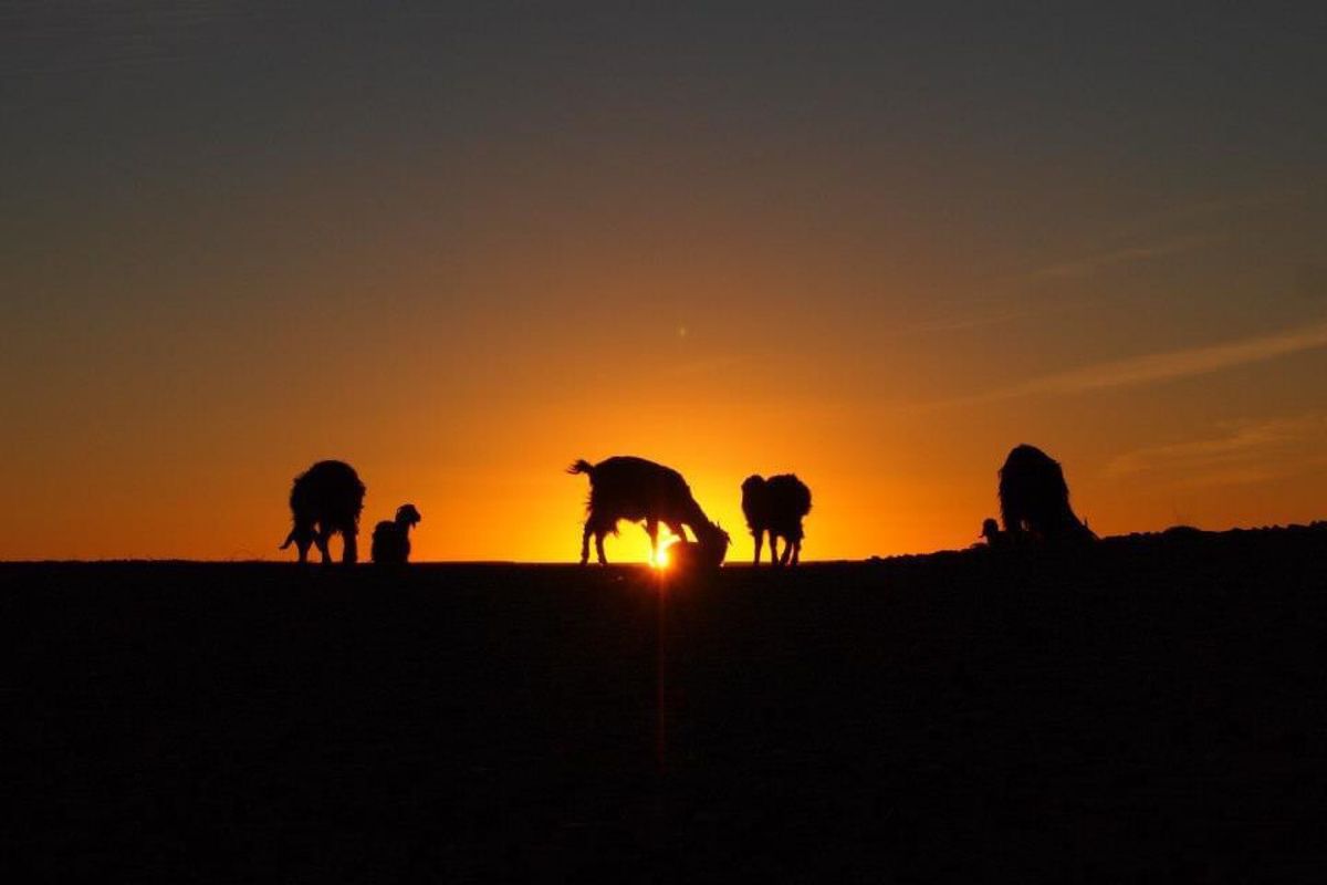 こんなに静かな世界に来たのは生まれて初めてでした