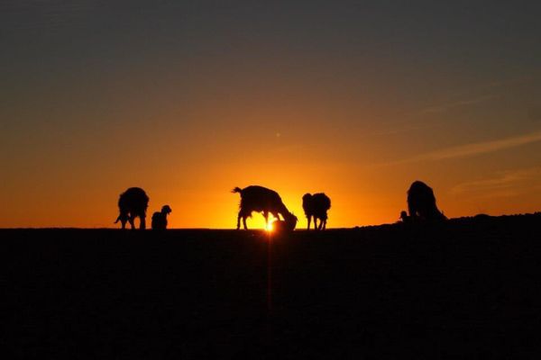 モロッコ・Marakesh「７ヶ月２８ヶ国世界一周（モロッコ）」の写真：こんなに静かな世界に来たのは生まれて初め...