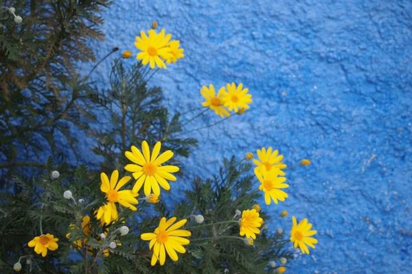 モロッコ・Marakesh「７ヶ月２８ヶ国世界一周（モロッコ）」の写真：映える！