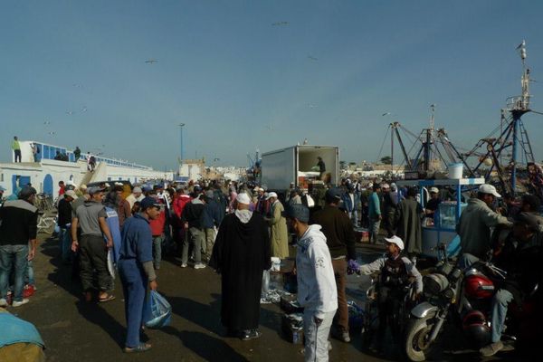 モロッコ・Marakesh「７ヶ月２８ヶ国世界一周（モロッコ）」の写真：モロッコの港町 エッサウィラの港