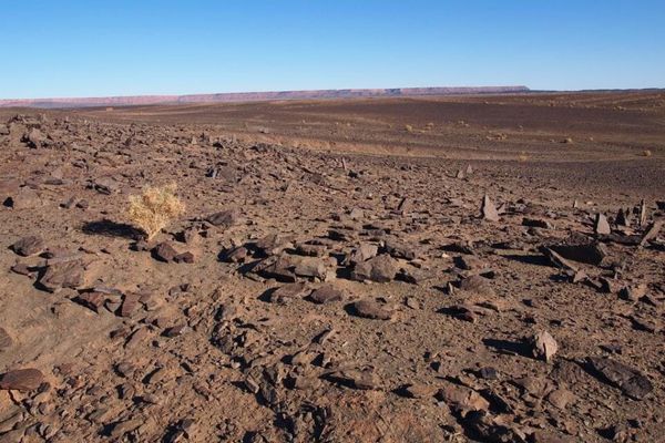 モロッコ・Marakesh「７ヶ月２８ヶ国世界一周（モロッコ）」の写真：礫砂漠もあります！！