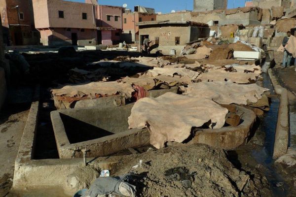 モロッコ・Marakesh「７ヶ月２８ヶ国世界一周（モロッコ）」の写真：マラケシュの皮なめし場
見学しました