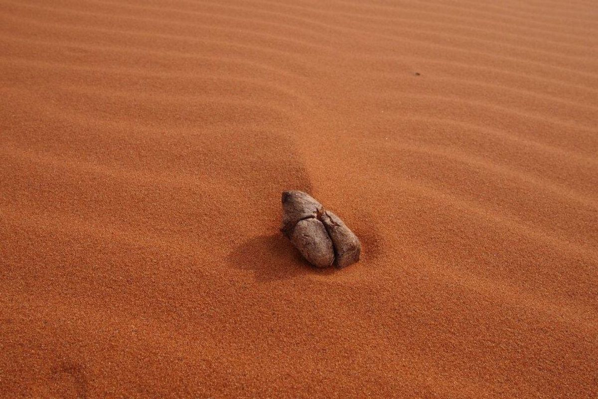 砂の模様が綺麗！