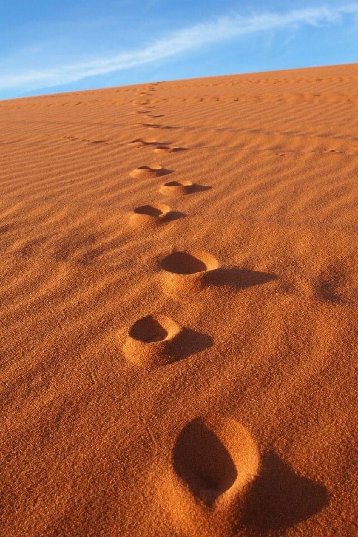 砂の模様が綺麗！