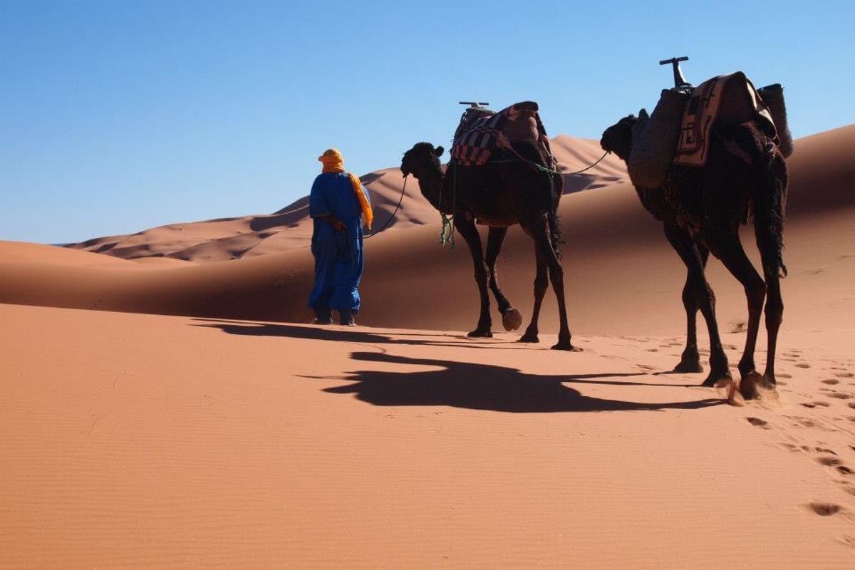 1人で3日間の砂漠ツアー！！