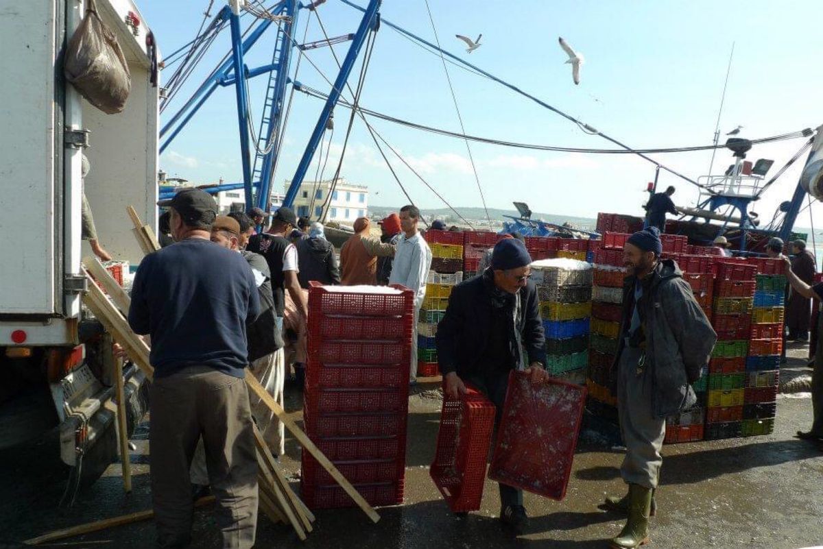 モロッコの港町 エッサウィラの港