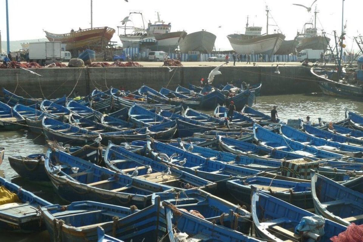 モロッコの港町 エッサウィラの港