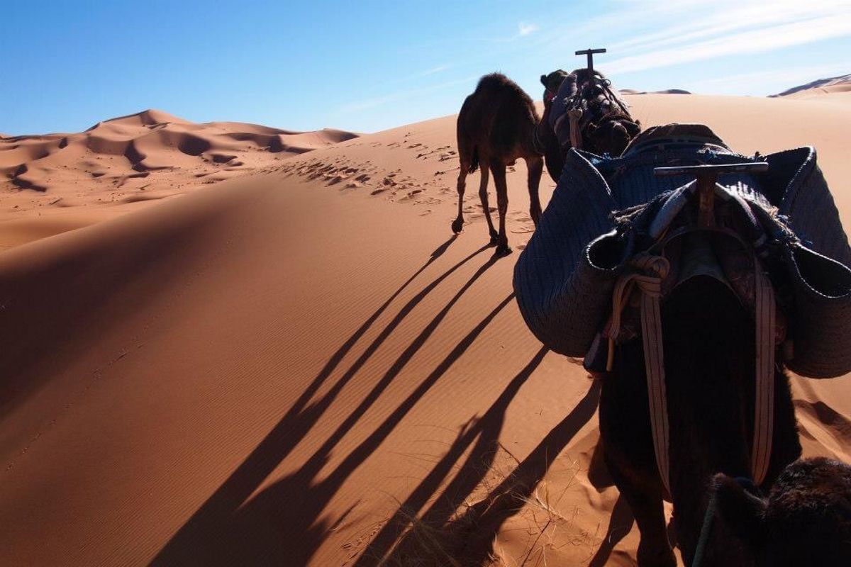 1人で3日間の砂漠ツアー！！