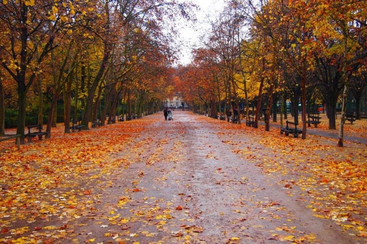 寒空のパリも悪くない