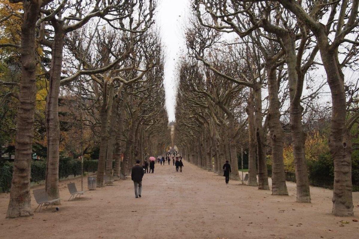 寒空のパリも悪くない