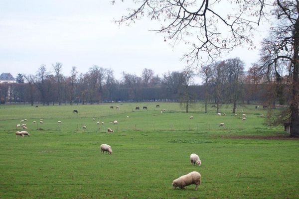 フランス・Paris「７ヶ月２８ヶ国世界一周（フランス）」の写真：小トリアノンなど