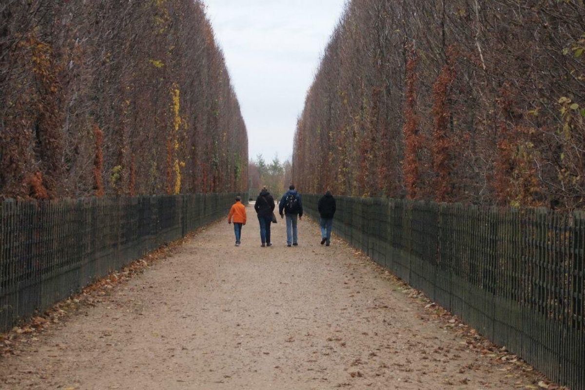 幾何学式庭園！
