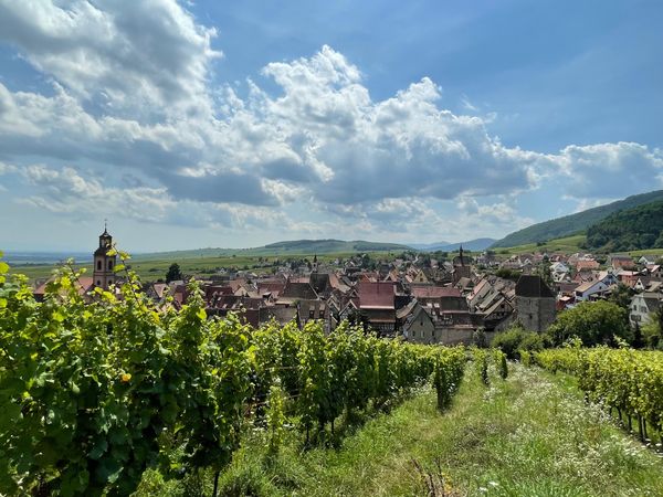 フランス・コルマール「アルザス地方」の写真