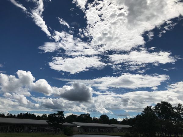 日本・長野県「日帰り軽井沢ドライブ🚗 ³₃」の写真：軽井沢アウトレット。広すぎて全部は見て回...