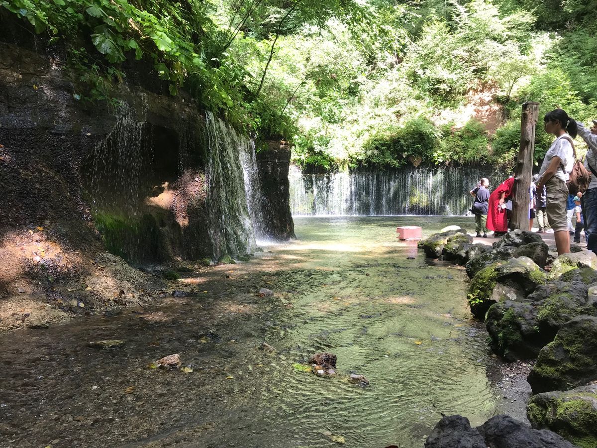 白糸の滝、動画動かすの早すぎですね💦ヘタクソ🥲