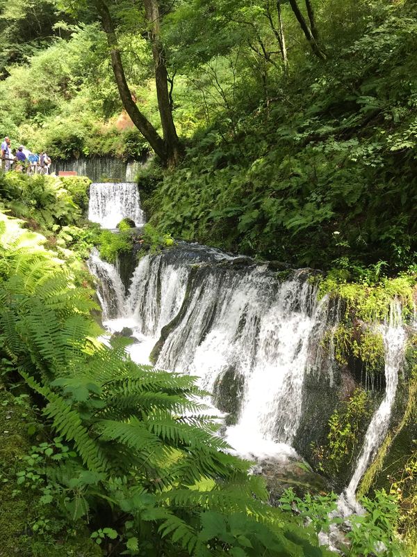 日本・長野県「日帰り軽井沢ドライブ🚗 ³₃」の写真：白糸の滝、動画動かすの早すぎですね💦ヘタクソ🥲