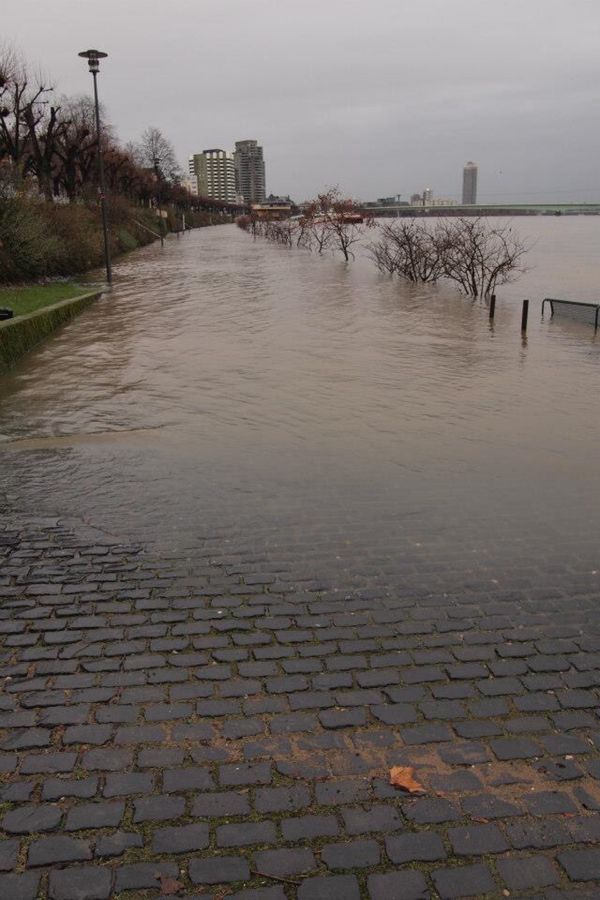 ドイツ・Koln「７ヶ月２８ヶ国世界一周（ドイツ）」の写真：洪水だったw