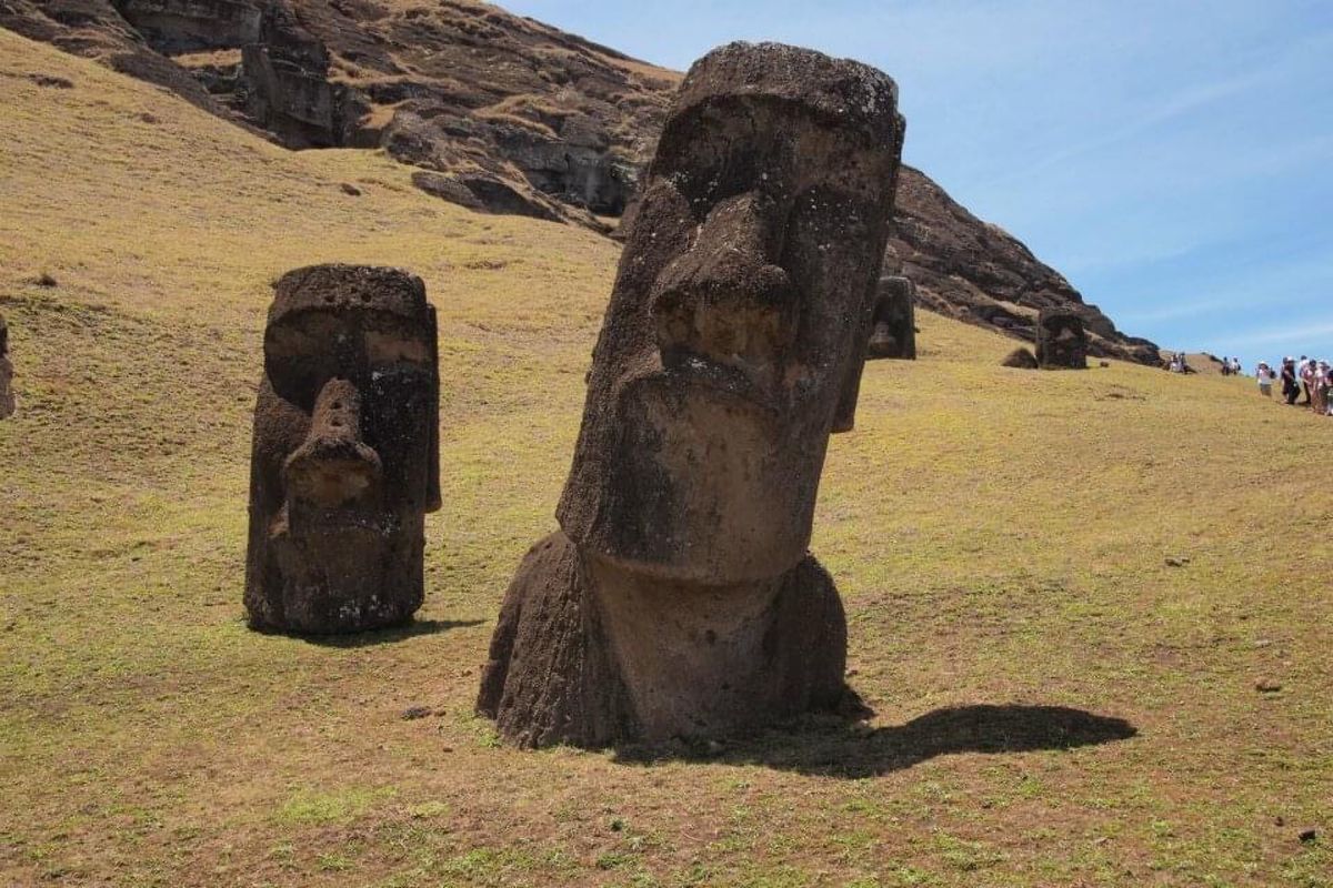 丘にモアイさん生えてる感じがいい