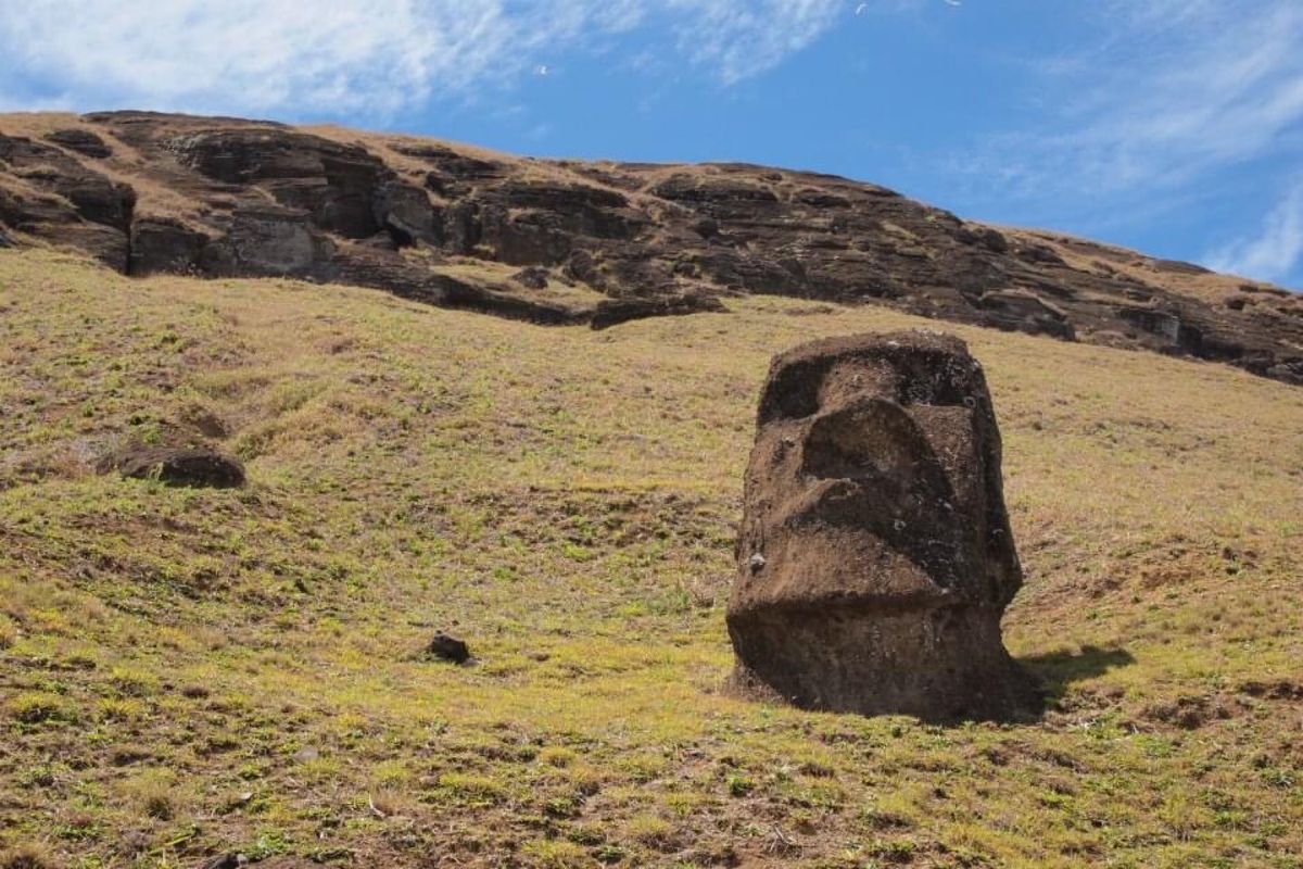 丘にモアイさん生えてる感じがいい