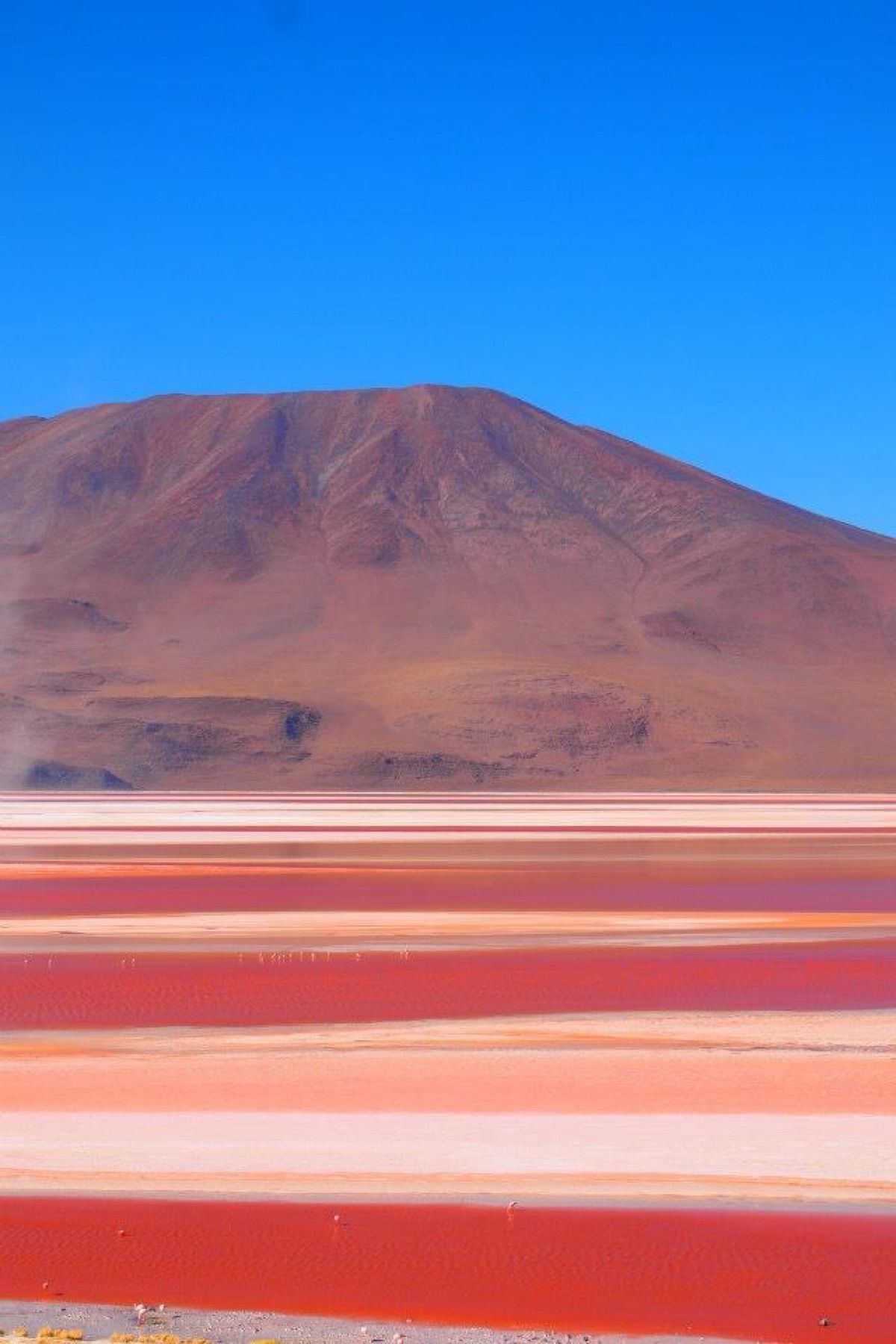 アタカマ→ウユニのツアーにて
真っ赤な湖