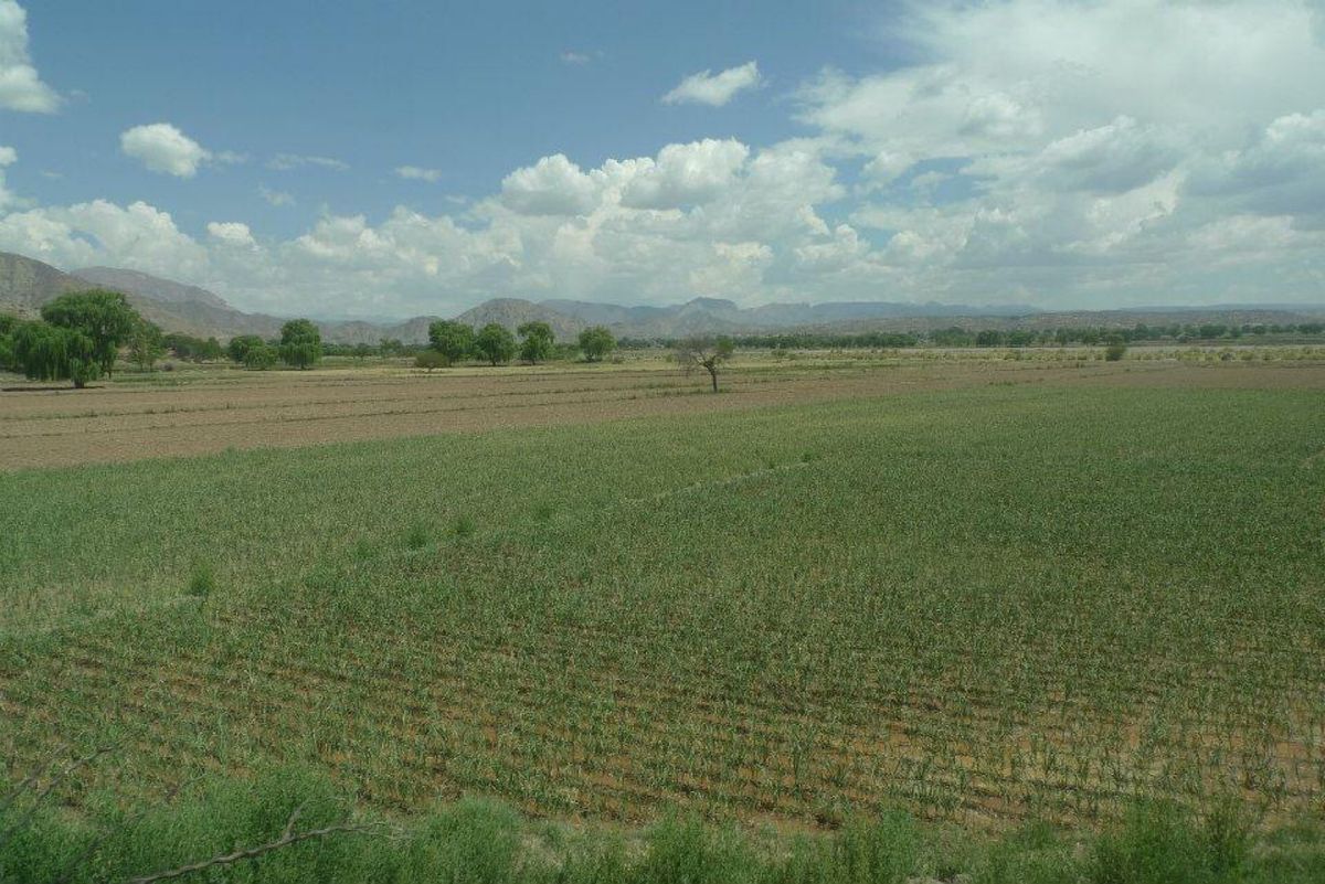 ボリビアで世界の車窓から