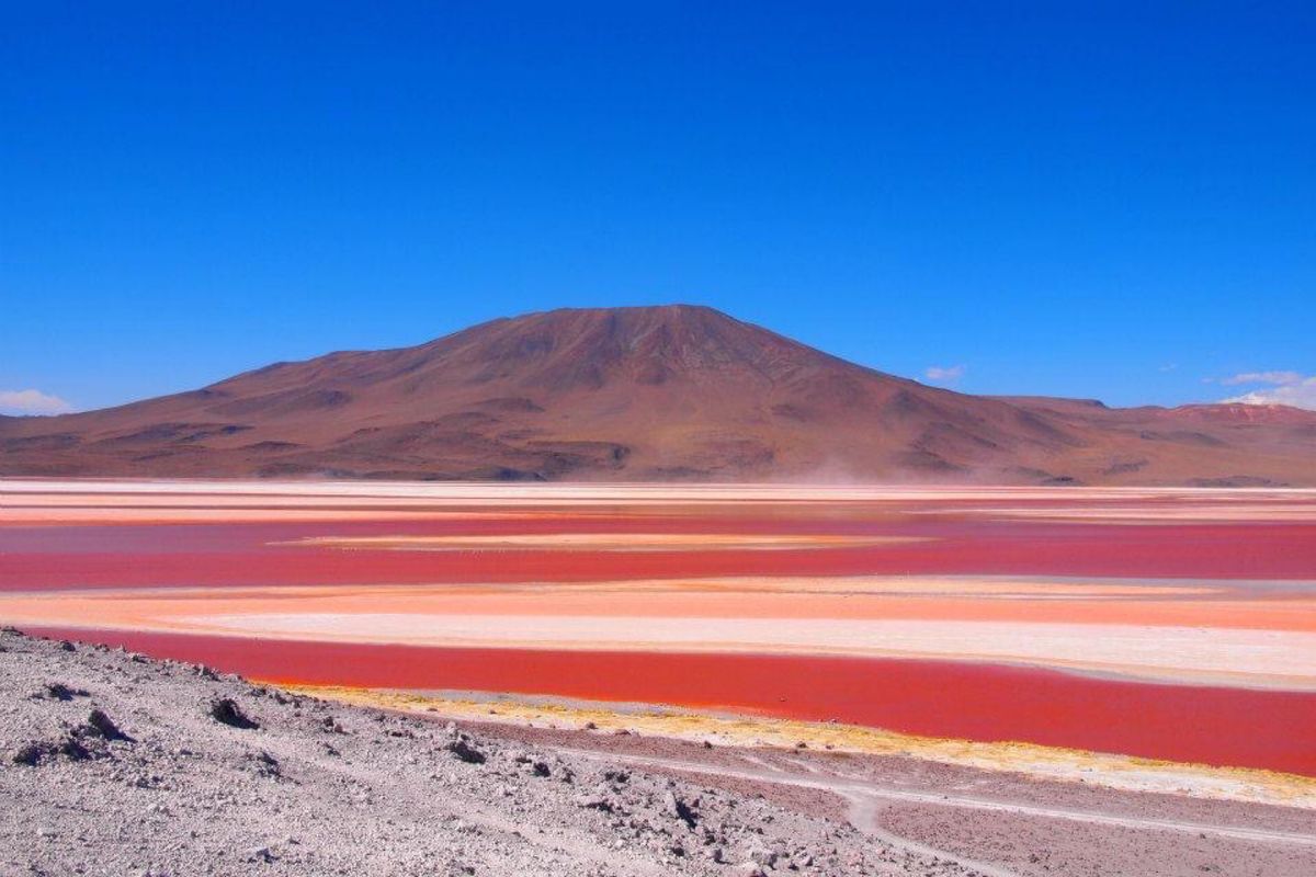 アタカマ→ウユニのツアーにて
真っ赤な湖