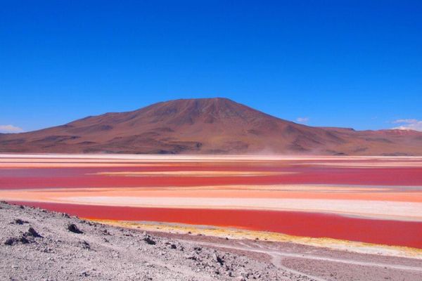 ボリビア多民族国・Uyuni「７ヶ月２８ヶ国世界一周（ボリビア）」の写真：アタカマ→ウユニのツアーにて
真っ赤な湖
