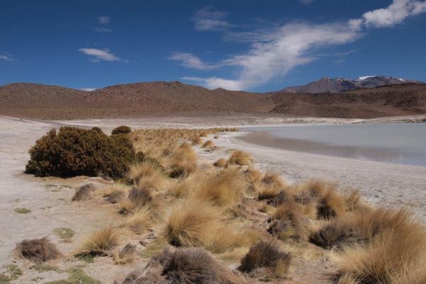 ボリビア多民族国・Uyuni「７ヶ月２８ヶ国世界一周（ボリビア）」の写真：湖が多い