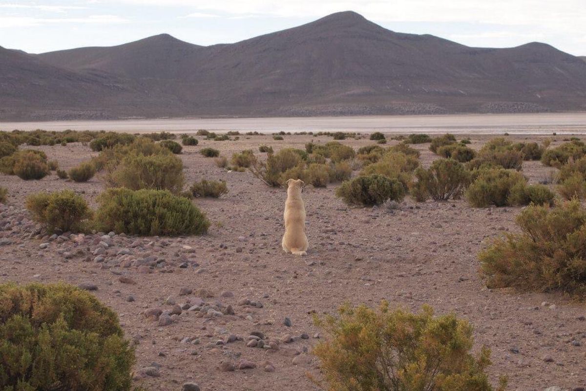ボリビアの田舎で