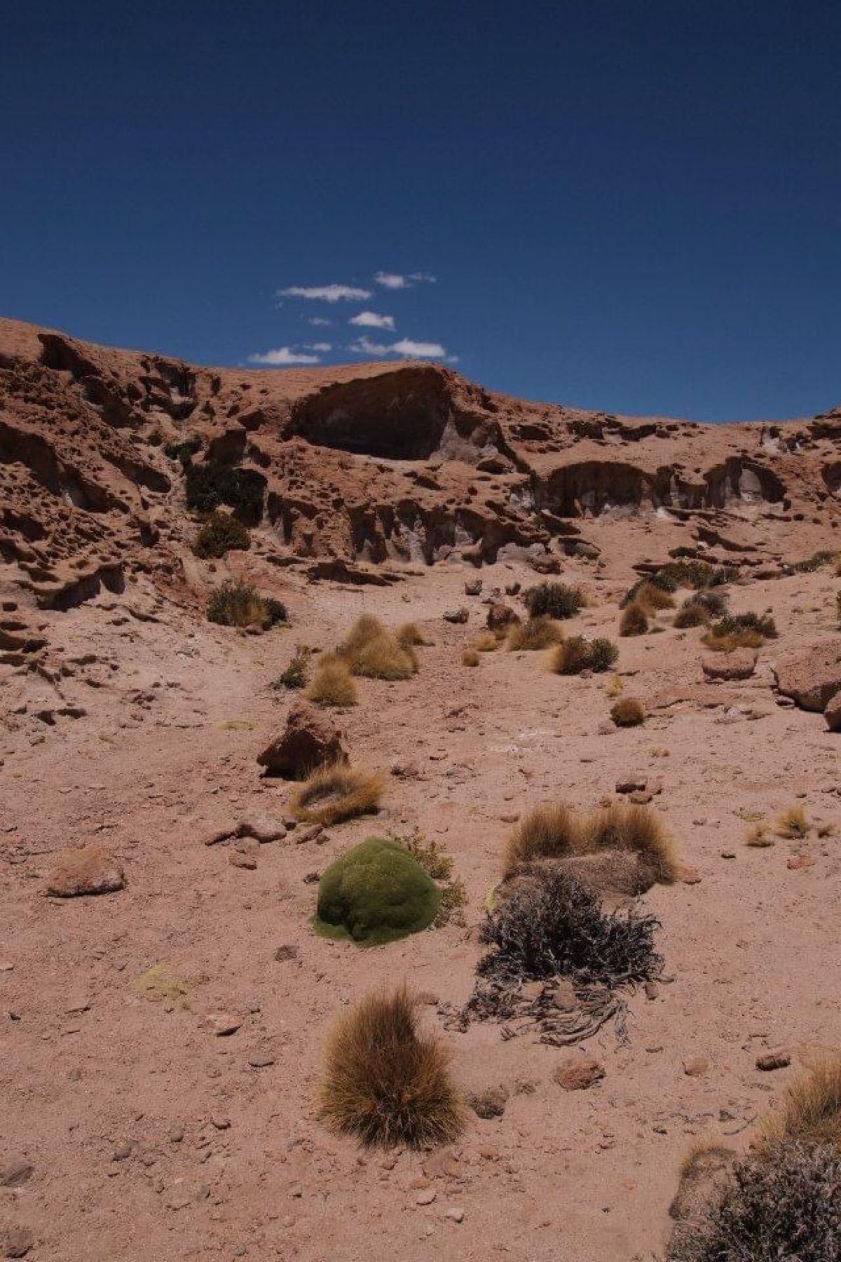 ボリビアの岩山