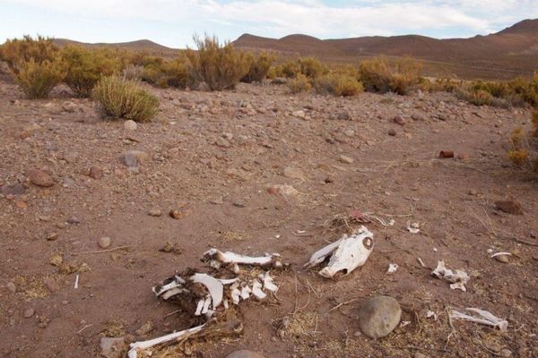 ボリビア多民族国・Uyuni「７ヶ月２８ヶ国世界一周（ボリビア）」の写真：ボリビアの田舎で