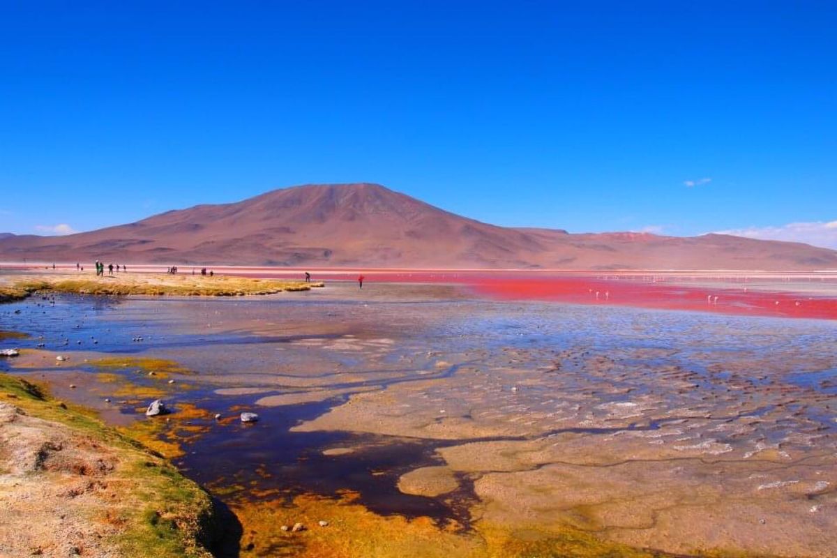 アタカマ→ウユニのツアーにて
真っ赤な湖