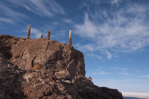ボリビア多民族国・Uyuni「７ヶ月２８ヶ国世界一周（ボリビア）」の写真：魚の島で