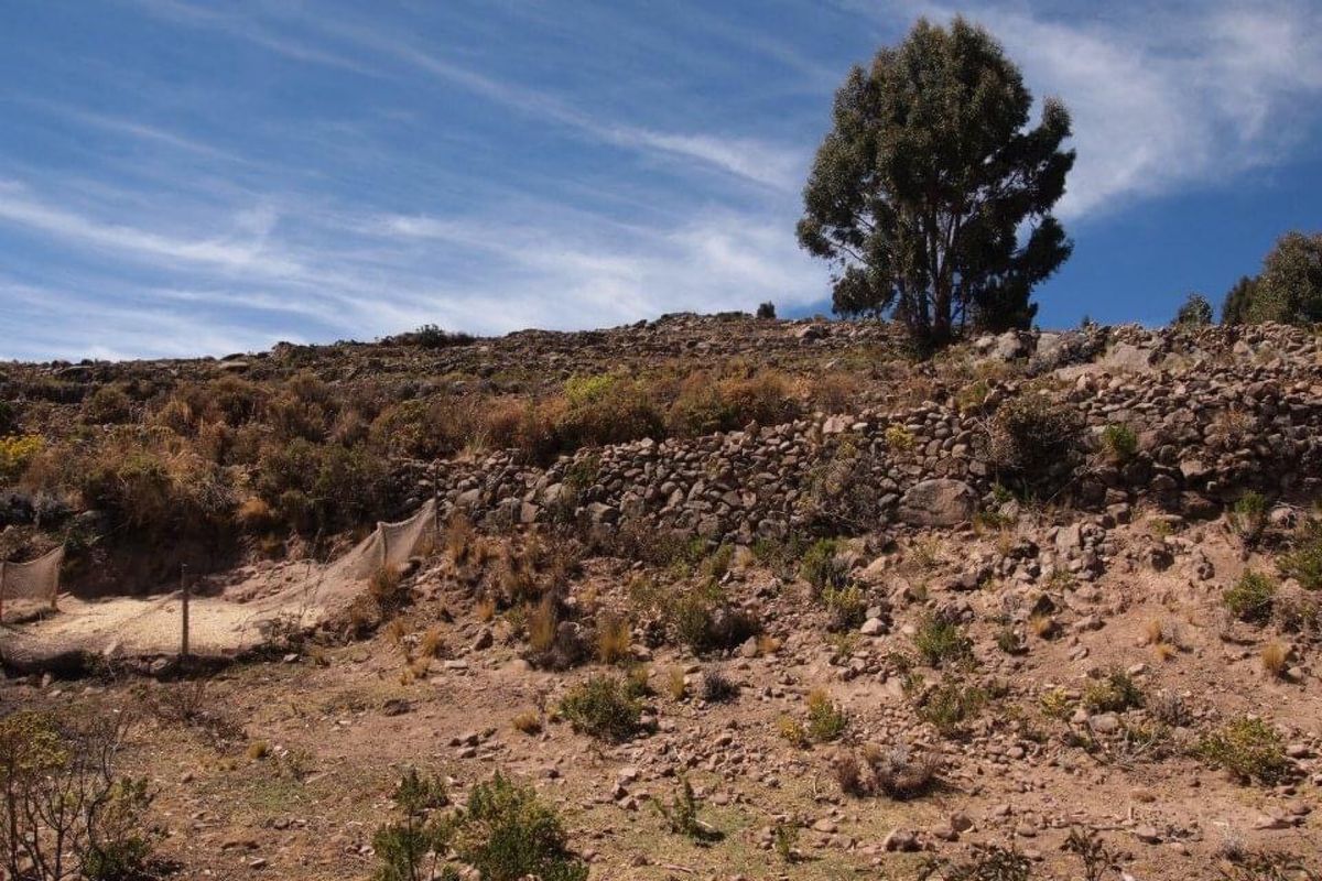 チチカカ湖の島での生活