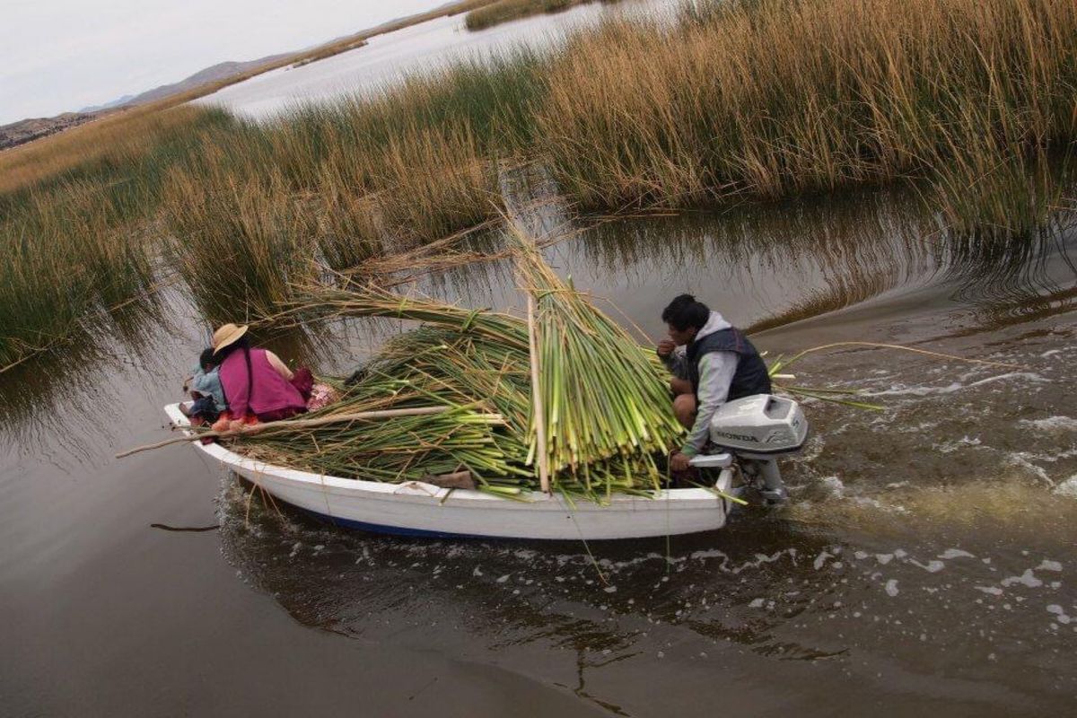 チチカカ湖の葦でできた島 ウロス島