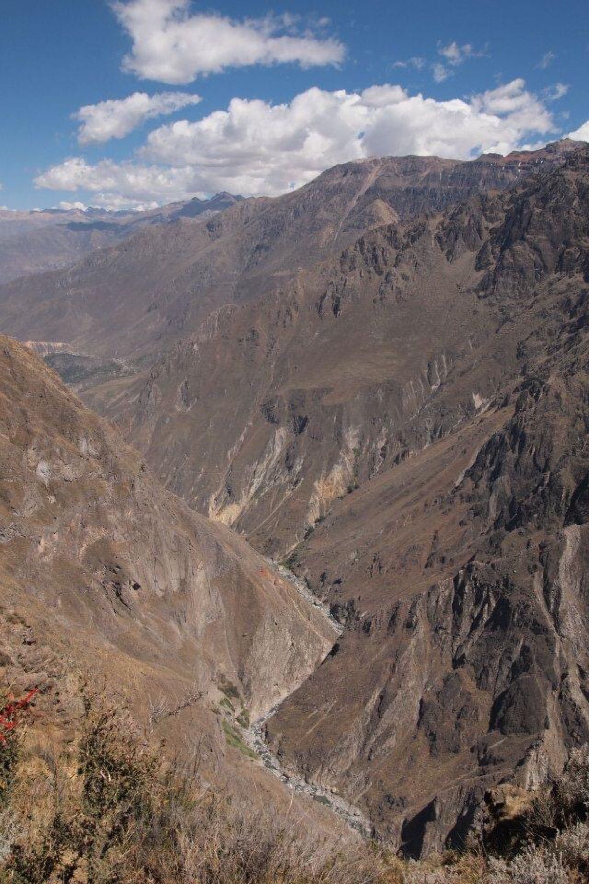 アレキパからコルカ渓谷へ。
