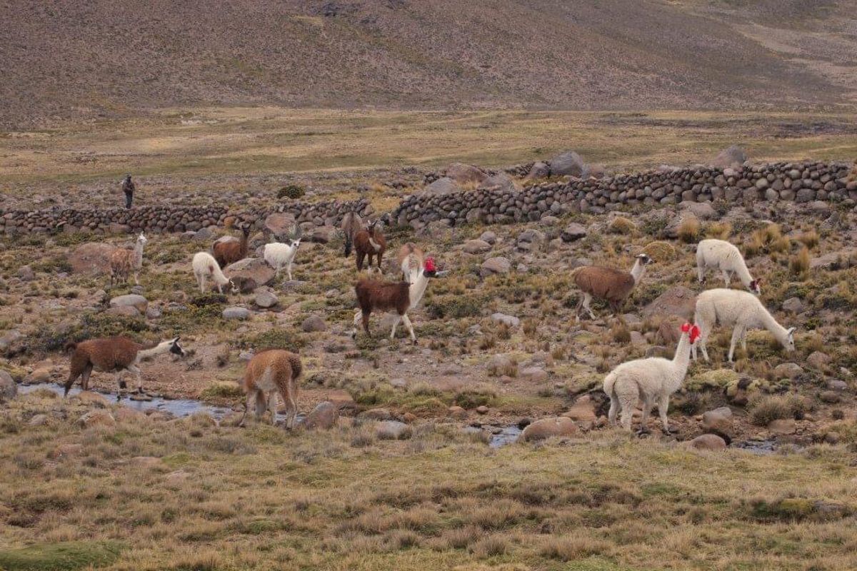 こんな道を乗り合いバスで走る