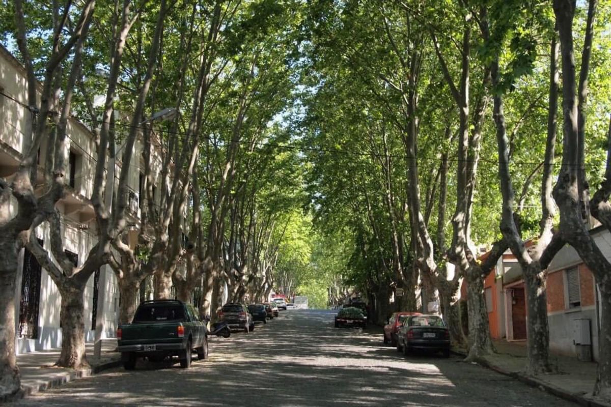 ブエノスアイレスからフェリーでウルグアイのコロニアルデルサクラメント！