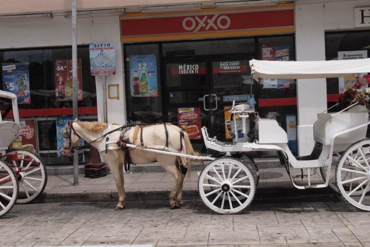 メリダの謎の建物