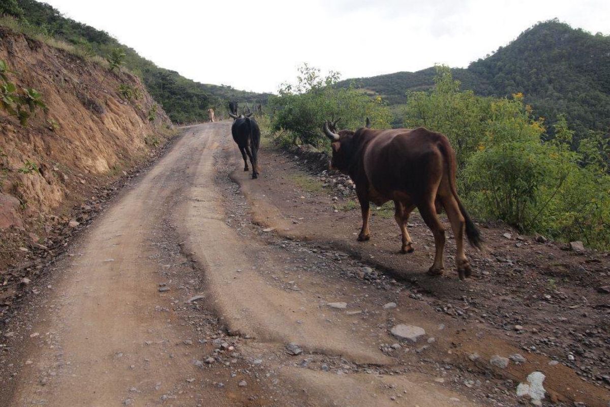 メキシコの高原