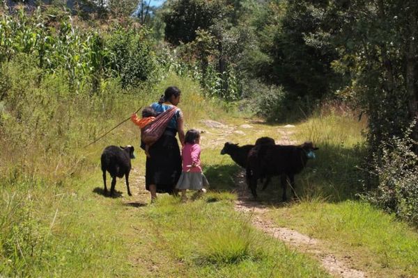 メキシコ・Cancun「７ヶ月２８ヶ国世界一周（メキシコ）」の写真：サンクリストバルから自転車ツアーで田舎へ