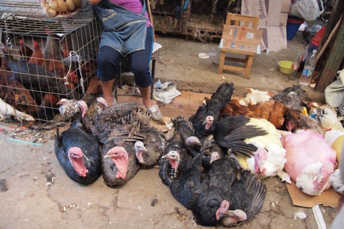 オアハカの市場