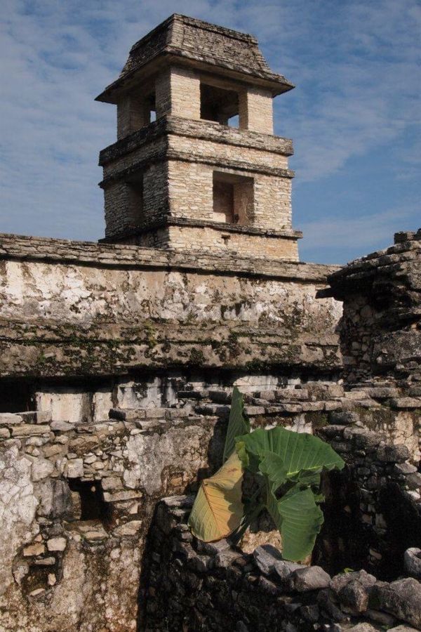 メキシコ・Cancun「７ヶ月２８ヶ国世界一周（メキシコ）」の写真：パレンケ遺跡