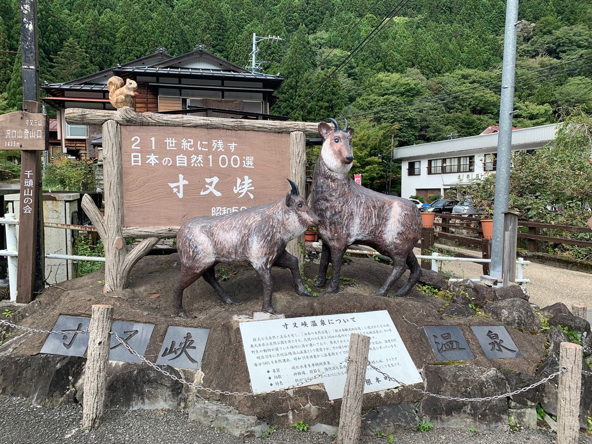寸又峡、夢の架け橋
駐車場のおばちゃんがとても親切☺️