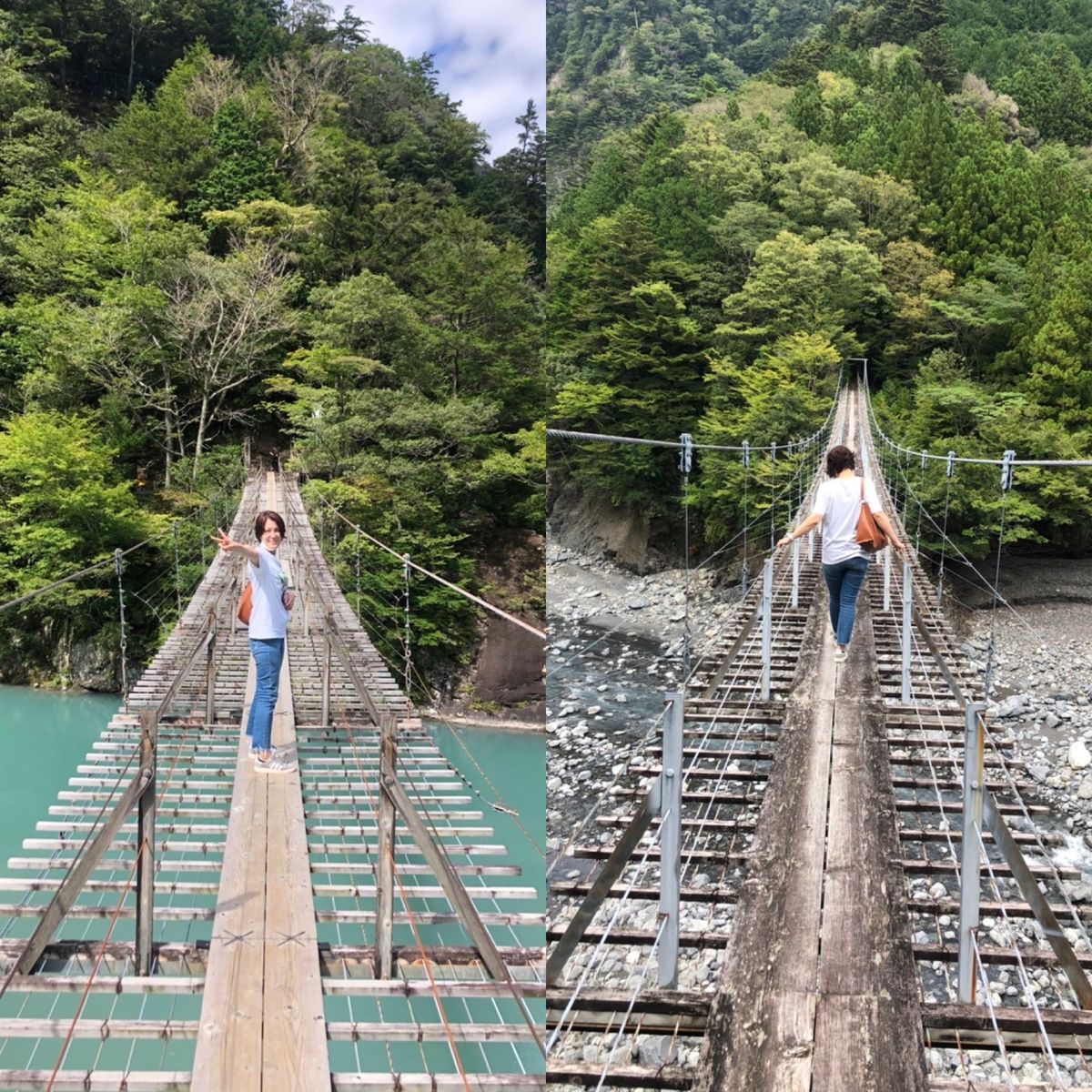 途中の岩から染み出てくる水やモサモサした苔も大好き❤