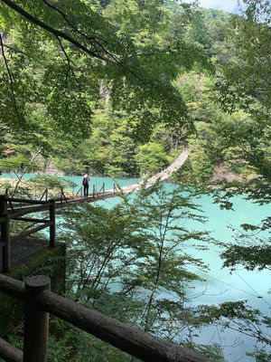 寸又峡、夢の架け橋
駐車場のおばちゃんがとても親切☺️
