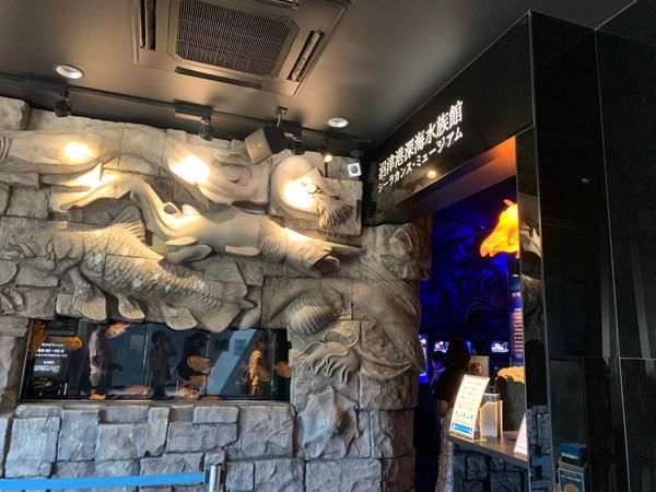 日本・静岡県「念願の寸又峡😆」の写真：冷凍剥製のシーラカンス！想像以上に大きか...