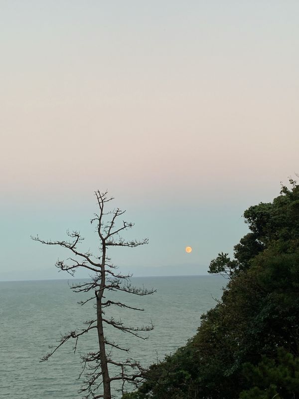 日本・静岡県「念願の寸又峡😆」の写真：焼津グランドホテル、露天風呂貸切で入って...